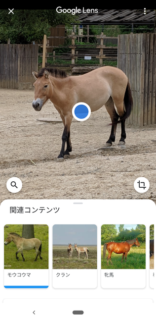 f:id:itsuwalove777:20191208134340p:plain f:id:itsuwalove777:20191208134340p:plain