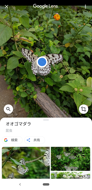f:id:itsuwalove777:20191208134426p:plain f:id:itsuwalove777:20191208134426p:plain