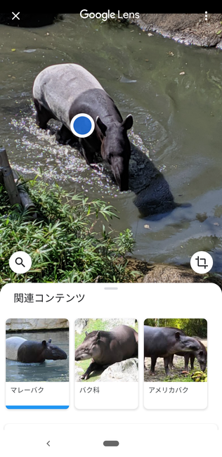 f:id:itsuwalove777:20191208134535p:plain f:id:itsuwalove777:20191208134535p:plain