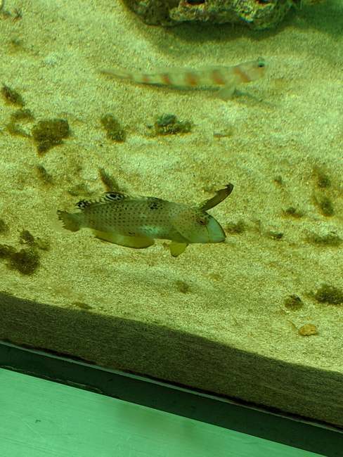 f:id:itsuwalove777:20191224002540j:plain f:id:itsuwalove777:20191224002540j:plain