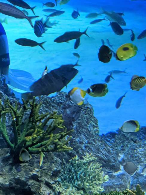 f:id:itsuwalove777:20200113193707j:plain