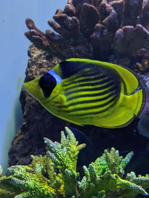 f:id:itsuwalove777:20200126144633j:plain