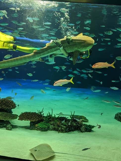 f:id:itsuwalove777:20200126233656j:plain f:id:itsuwalove777:20200126233656j:plain