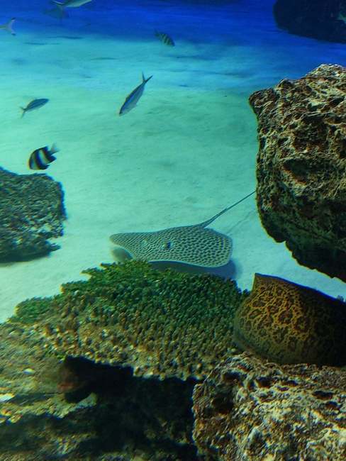 f:id:itsuwalove777:20200126233914j:plain f:id:itsuwalove777:20200126233914j:plain