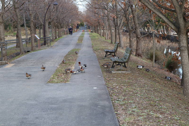 f:id:itsuwalove777:20200208231742j:plain f:id:itsuwalove777:20200208231742j:plain