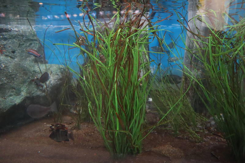 f:id:itsuwalove777:20200218214904j:plain f:id:itsuwalove777:20200218214904j:plain