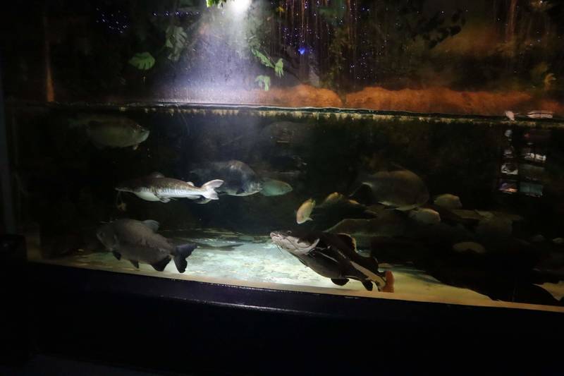 f:id:itsuwalove777:20200320051155j:plain f:id:itsuwalove777:20200320051155j:plain