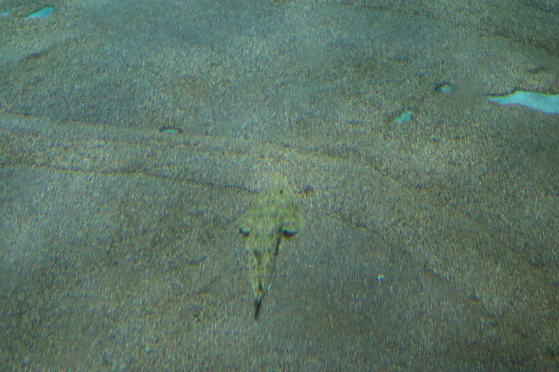 f:id:itsuwalove777:20200323031658j:plain f:id:itsuwalove777:20200323031658j:plain