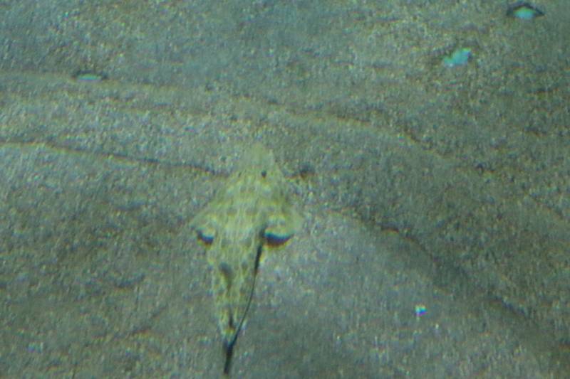 f:id:itsuwalove777:20200401230933j:plain f:id:itsuwalove777:20200401230933j:plain