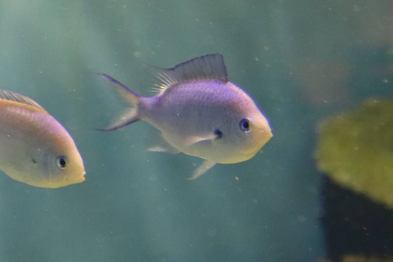 f:id:itsuwalove777:20200404224023j:plain f:id:itsuwalove777:20200404224023j:plain