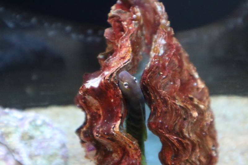 f:id:itsuwalove777:20200613124858j:plain f:id:itsuwalove777:20200613124858j:plain