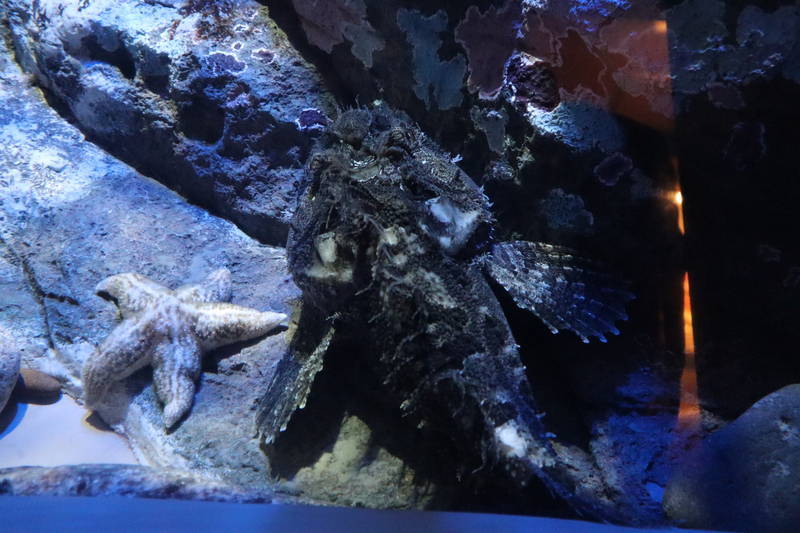 f:id:itsuwalove777:20200614123708j:plain