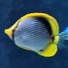 f:id:itsuwalove777:20200629081545j:plain
