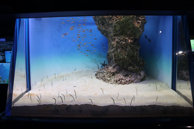 f:id:itsuwalove777:20200708181925j:plain