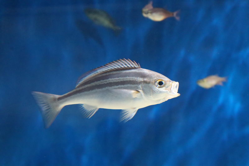 f:id:itsuwalove777:20200818222148j:plain