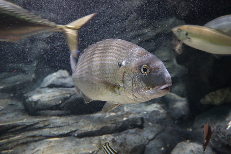 f:id:itsuwalove777:20200818222258j:plain f:id:itsuwalove777:20200818222258j:plain