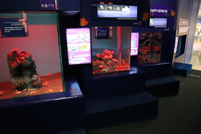 f:id:itsuwalove777:20200820223137j:plain