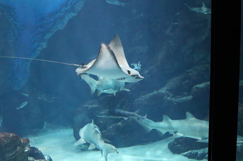 f:id:itsuwalove777:20200822045758j:plain