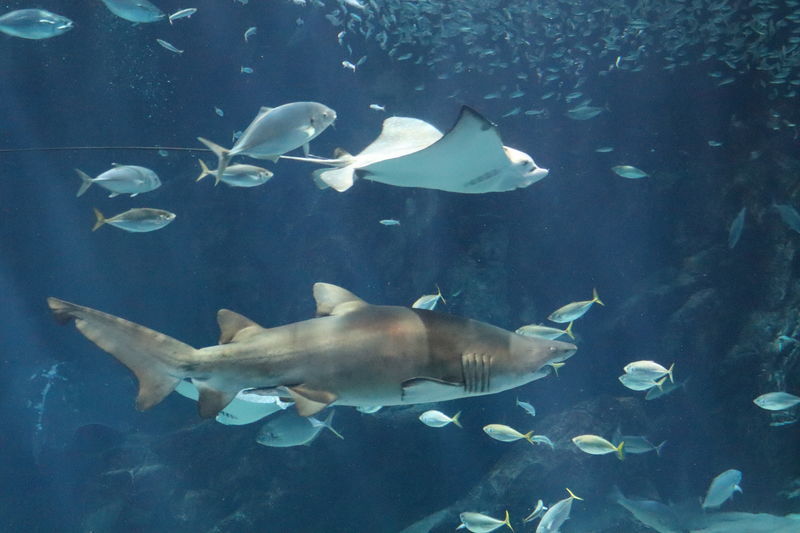 f:id:itsuwalove777:20200822050206j:plain