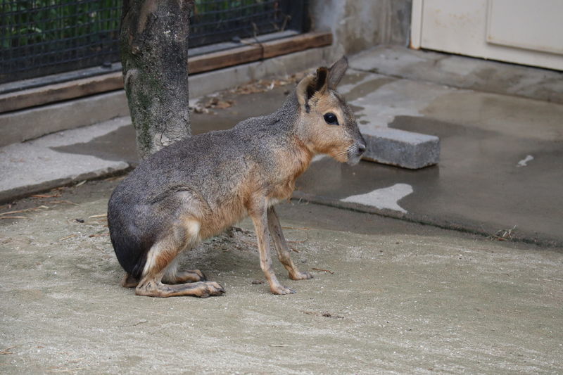 f:id:itsuwalove777:20200823200335j:plain f:id:itsuwalove777:20200823200335j:plain