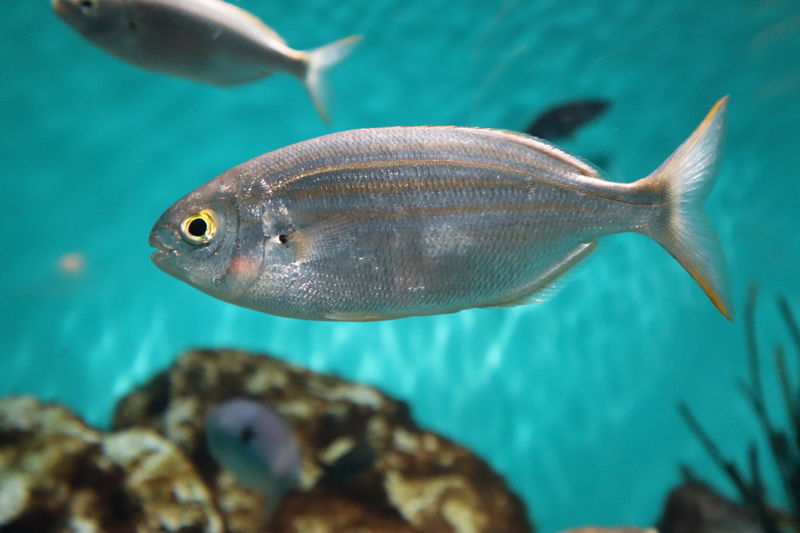 f:id:itsuwalove777:20200904121031j:plain f:id:itsuwalove777:20200904121031j:plain