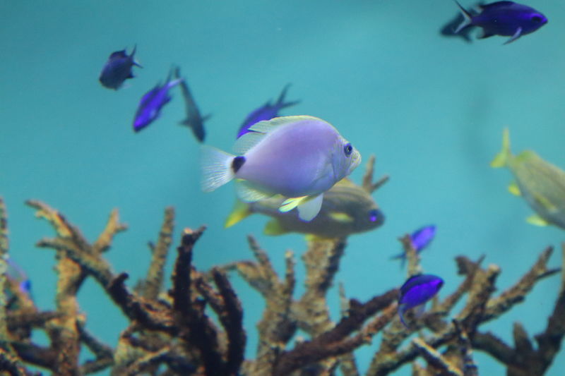 f:id:itsuwalove777:20200904122133j:plain f:id:itsuwalove777:20200904122133j:plain