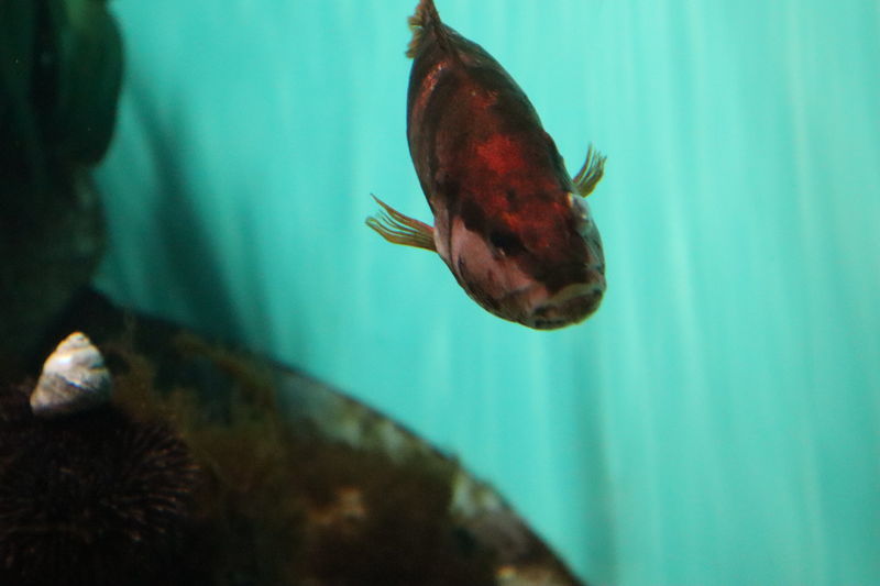 f:id:itsuwalove777:20200904122223j:plain f:id:itsuwalove777:20200904122223j:plain