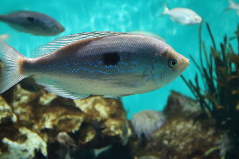 f:id:itsuwalove777:20200904122342j:plain f:id:itsuwalove777:20200904122342j:plain