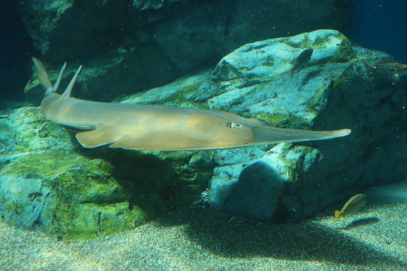 f:id:itsuwalove777:20200912190944j:plain f:id:itsuwalove777:20200912190944j:plain