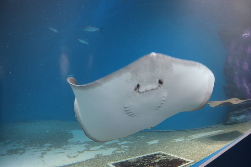 f:id:itsuwalove777:20200912191452j:plain f:id:itsuwalove777:20200912191452j:plain