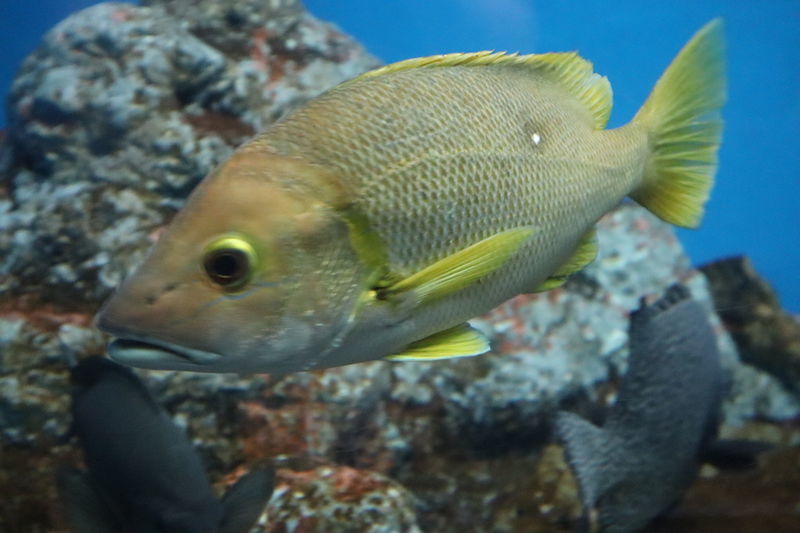 f:id:itsuwalove777:20200917220511j:plain f:id:itsuwalove777:20200917220511j:plain