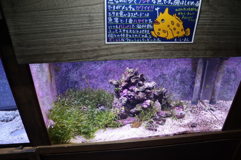 f:id:itsuwalove777:20201025220738j:plain f:id:itsuwalove777:20201025220738j:plain