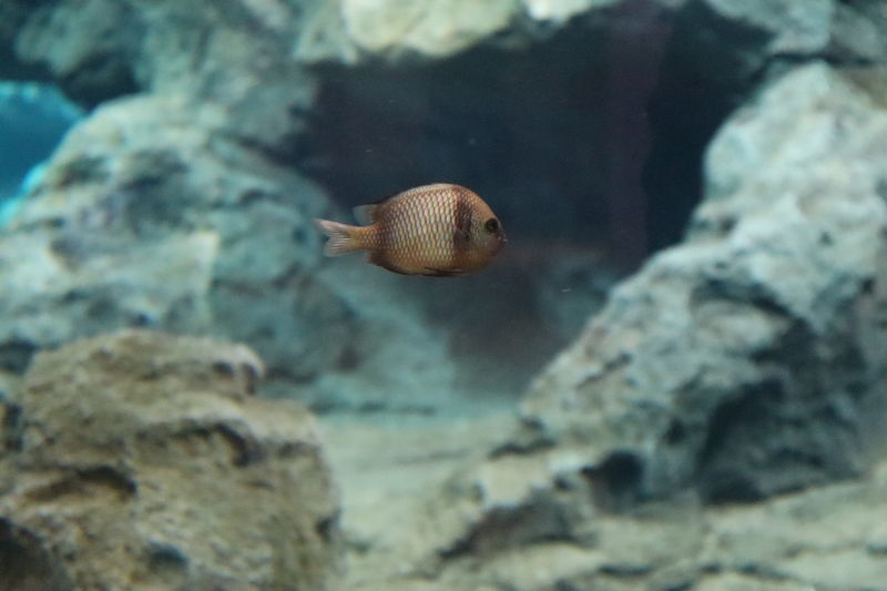 f:id:itsuwalove777:20201026011038j:plain f:id:itsuwalove777:20201026011038j:plain