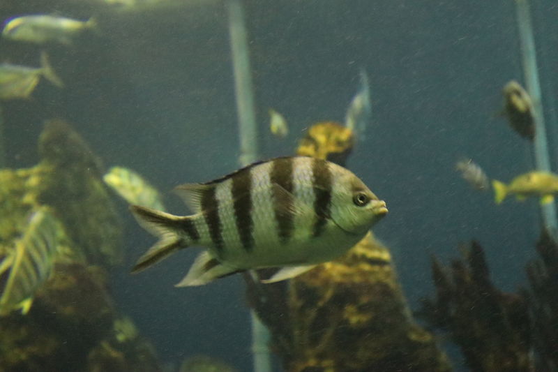 f:id:itsuwalove777:20201026011837j:plain