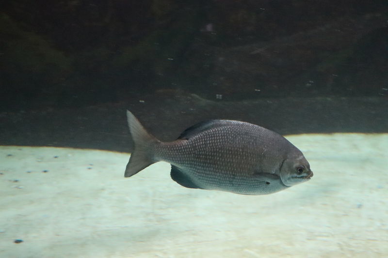 f:id:itsuwalove777:20201026012455j:plain f:id:itsuwalove777:20201026012455j:plain