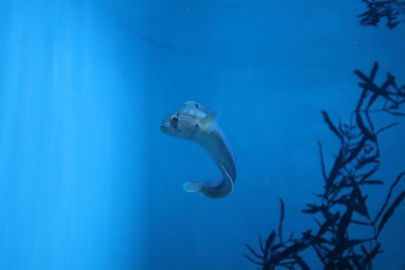 f:id:itsuwalove777:20201026035703j:plain