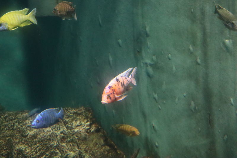 f:id:itsuwalove777:20201026040407j:plain f:id:itsuwalove777:20201026040407j:plain