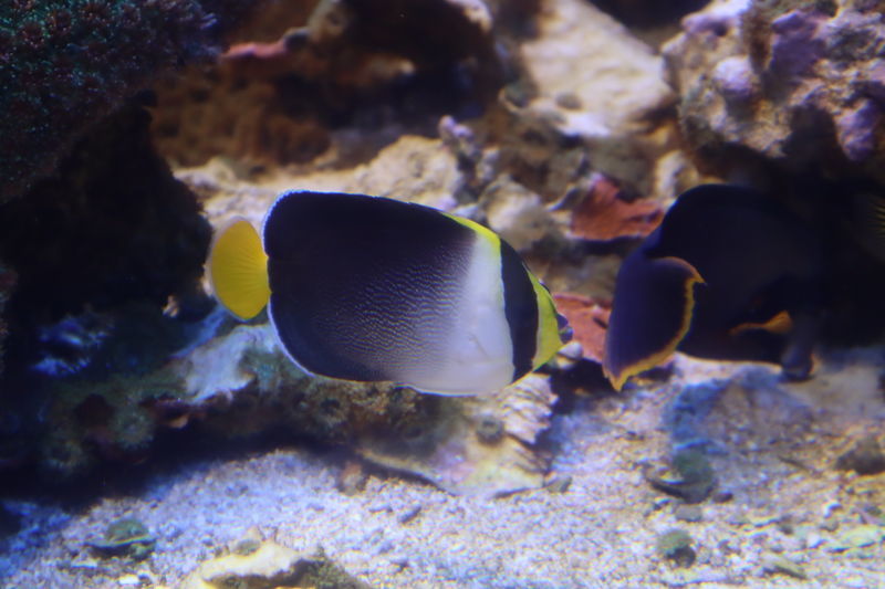 f:id:itsuwalove777:20201030221540j:plain f:id:itsuwalove777:20201030221540j:plain