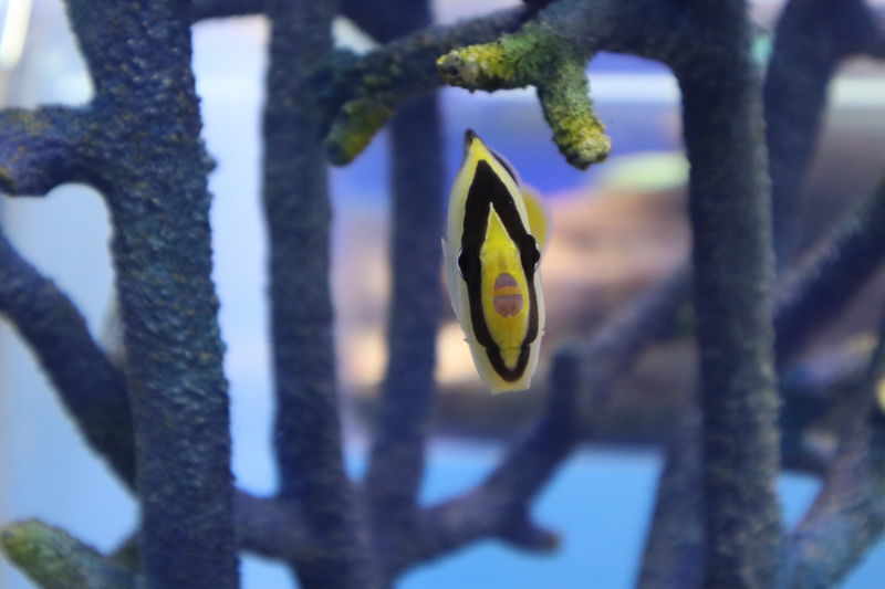 f:id:itsuwalove777:20201030221708j:plain f:id:itsuwalove777:20201030221708j:plain