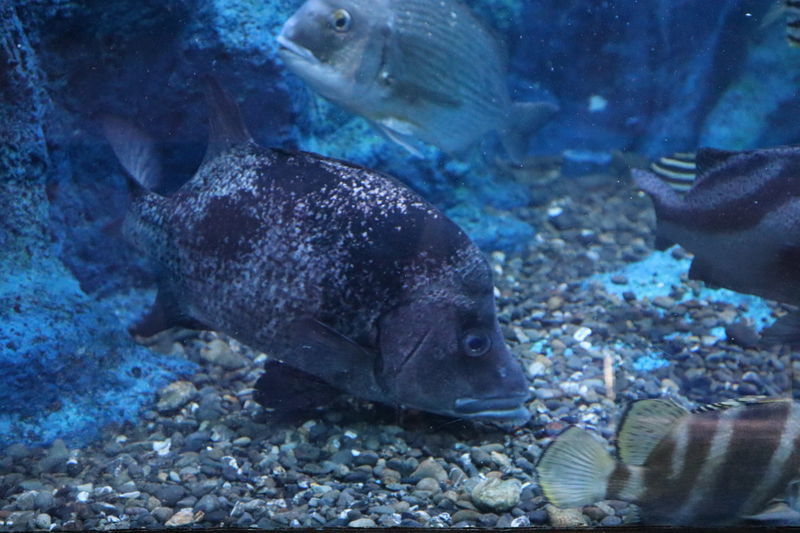 f:id:itsuwalove777:20201031043321j:plain