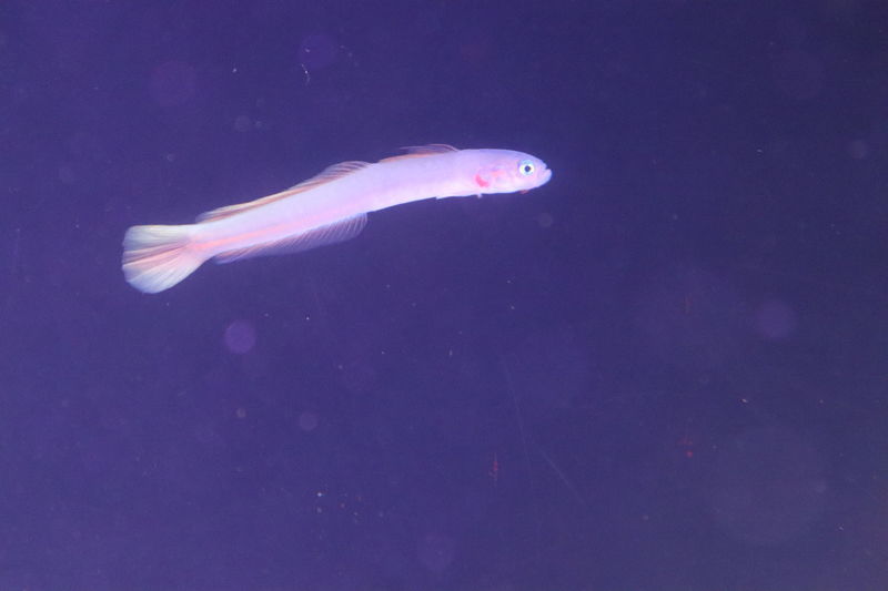 f:id:itsuwalove777:20201031142546j:plain f:id:itsuwalove777:20201031142546j:plain