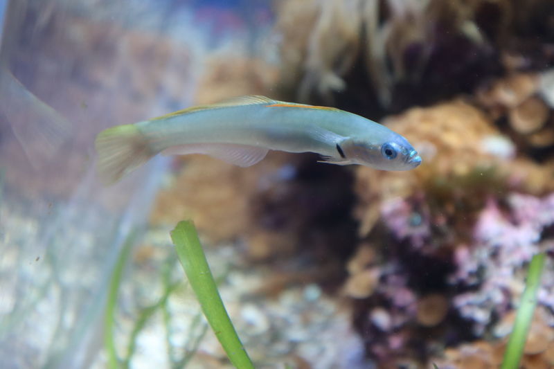 f:id:itsuwalove777:20201031142601j:plain f:id:itsuwalove777:20201031142601j:plain