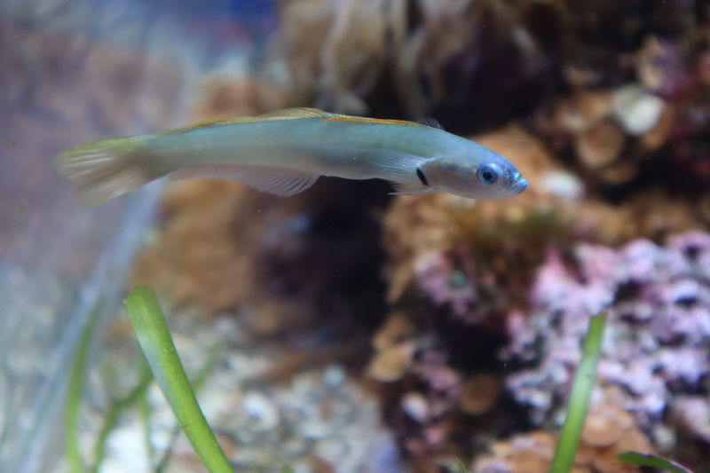 f:id:itsuwalove777:20201031142614j:plain f:id:itsuwalove777:20201031142614j:plain