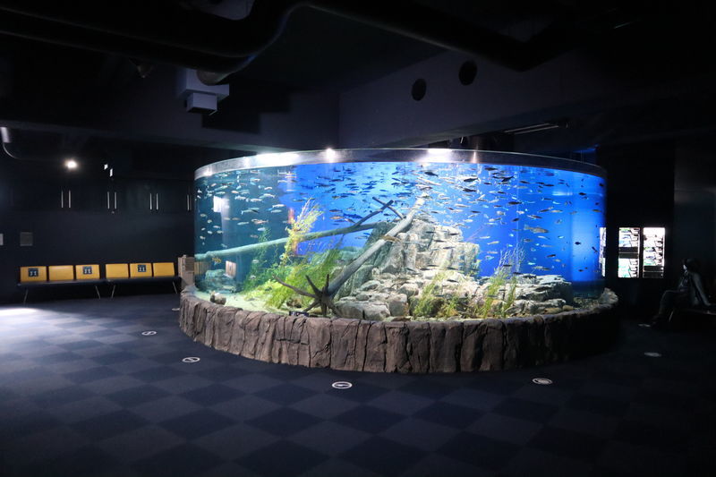 f:id:itsuwalove777:20201102150438j:plain f:id:itsuwalove777:20201102150438j:plain