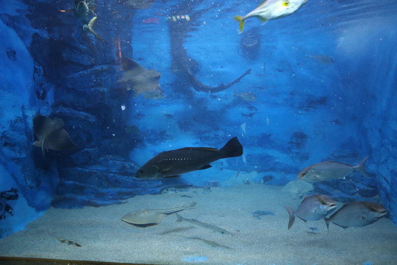 f:id:itsuwalove777:20201102150957j:plain