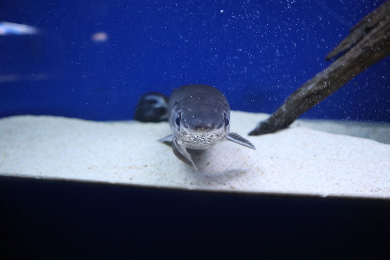 f:id:itsuwalove777:20201105074727j:plain