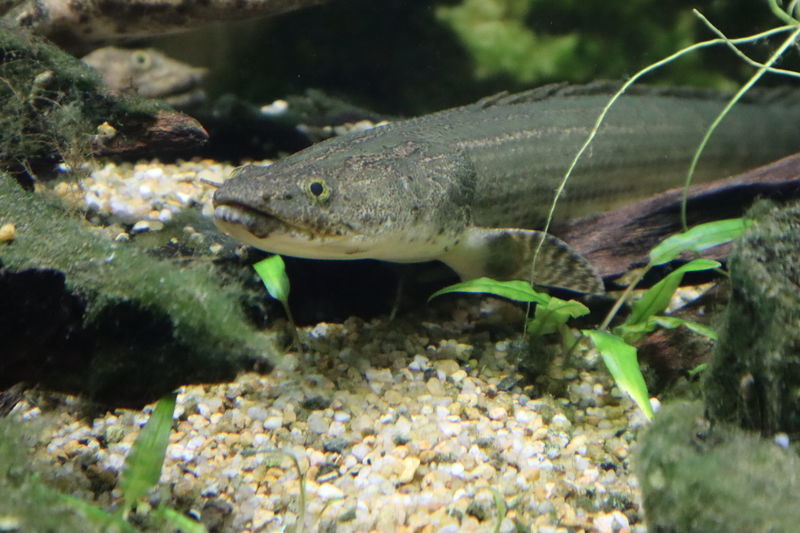 f:id:itsuwalove777:20201105075347j:plain