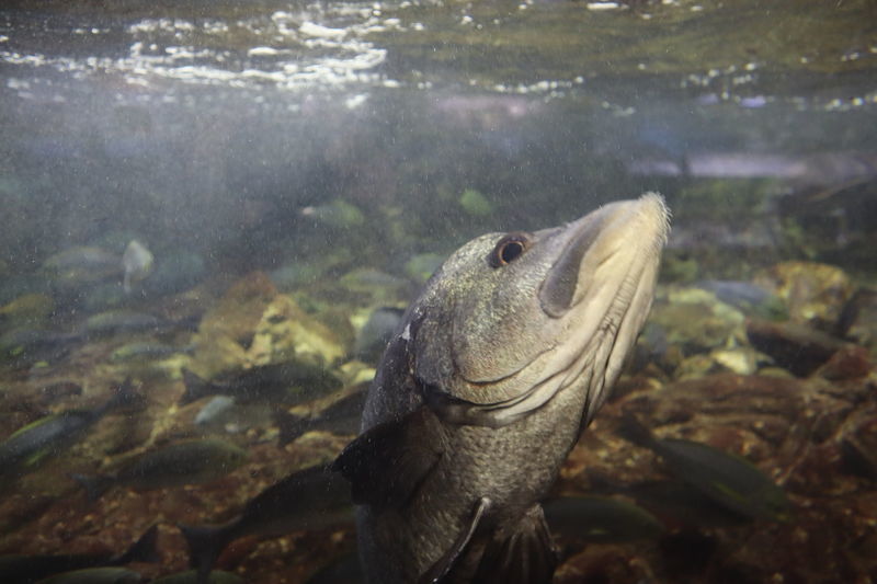 f:id:itsuwalove777:20201114001355j:plain