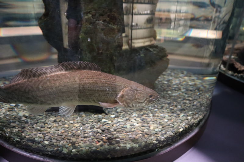 f:id:itsuwalove777:20201121020417j:plain