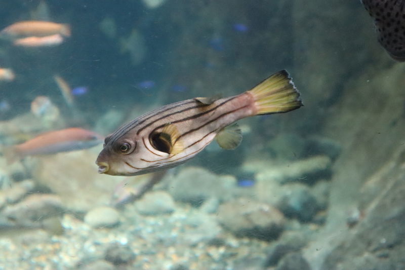 f:id:itsuwalove777:20201121100618j:plain